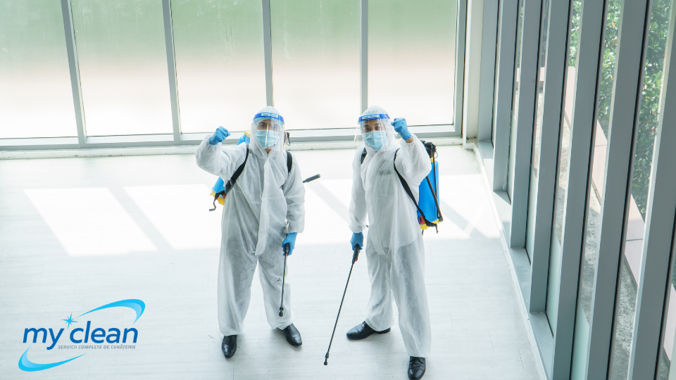 Deratizare Banner Deratizare Oradea