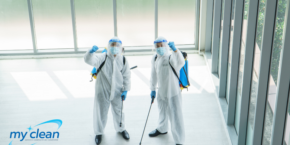 Deratizare Oradea Deratizare Oradea